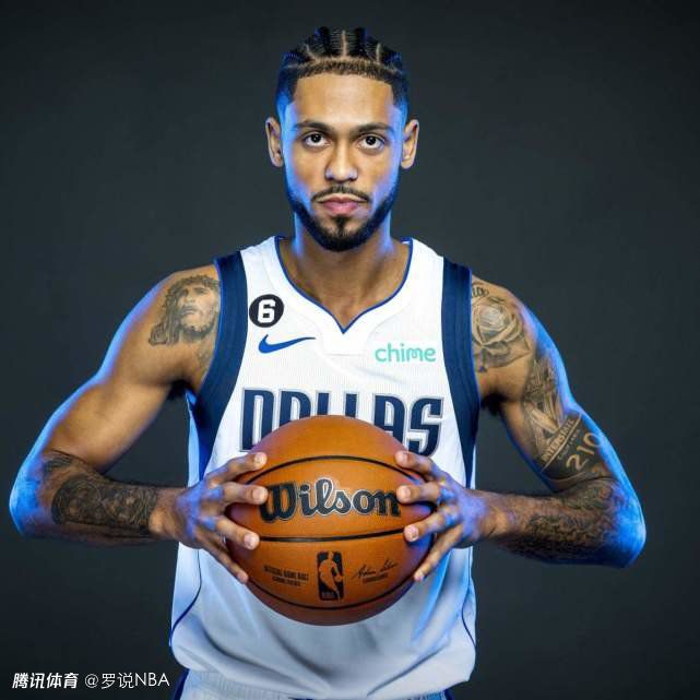 职业助手