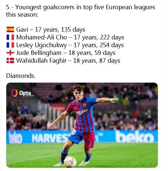 91人人草