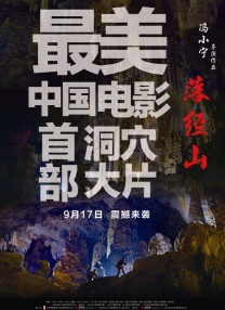 五月天丁香花婷婷视频网
