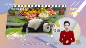 看看免费a一片欧